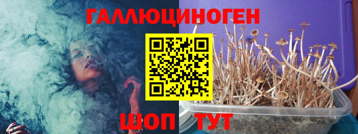 Псилоцибиновые грибы прущие грибы Ульяновск